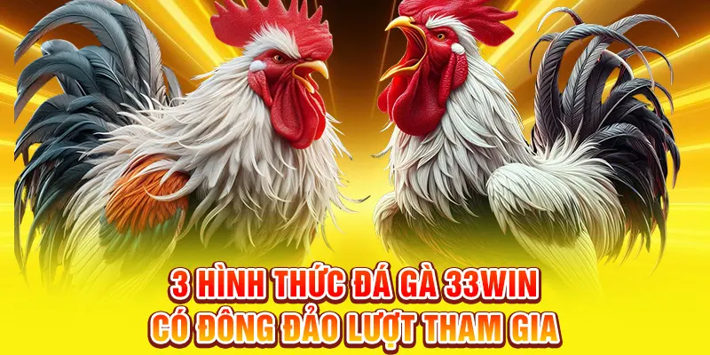 3 hình thức đá gà 33WIN có đông đảo lượt tham gia