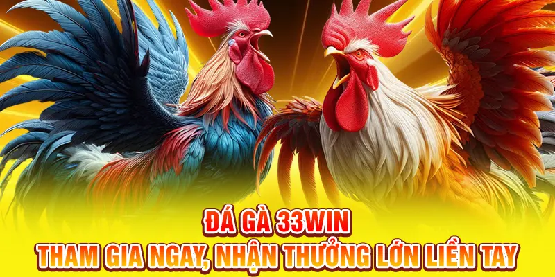 Tham gia đá gà 33WIN đơn giản