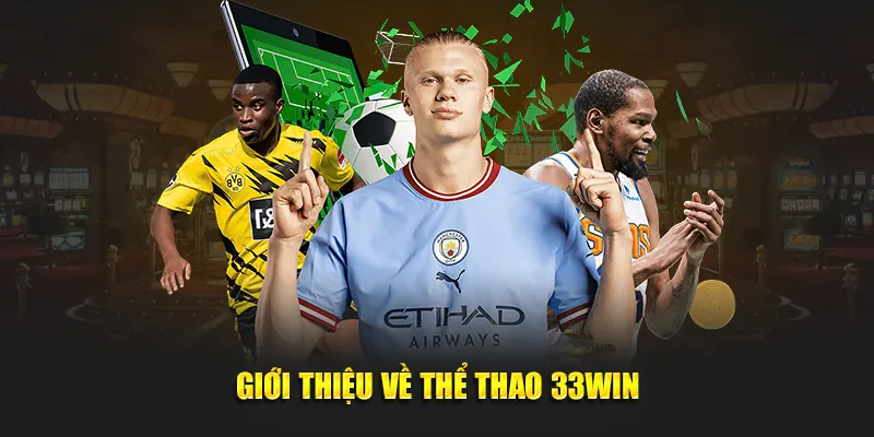 Giới thiệu về Thể Thao 33WIN