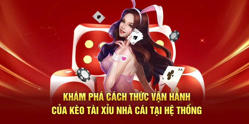 Khám phá cách thức vận hành của kèo tài xỉu nhà cái tại hệ thống