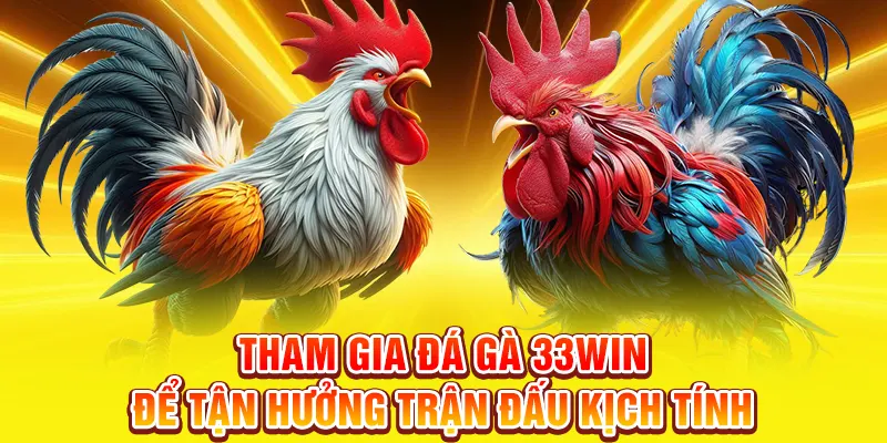 Tham gia đá gà 33WIN để tận hưởng trận đấu kịch tính